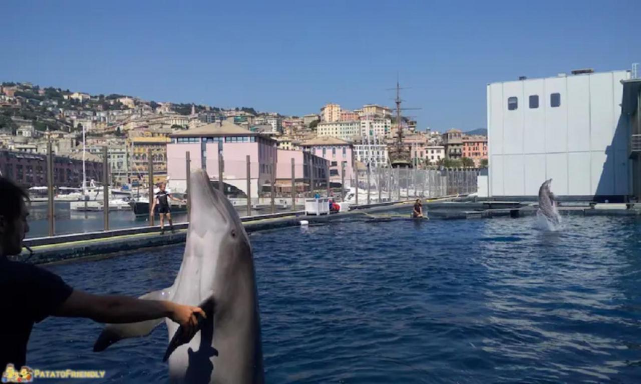 Apt Aquarium Apartman Genova Kültér fotó